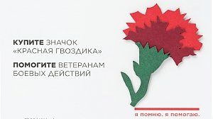 С 1 мая по 22 июня в Крыму пройдет ежегодная благотворительная акция «Красная гвоздика»