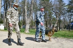 Полиция Крыма ищет 37 человек, указавших недостоверные сведения в анкетах для приезжих