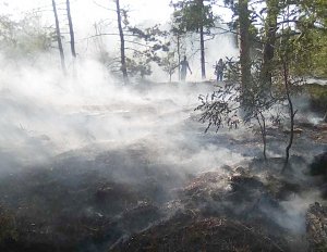 В Крыму за сутки ликвидировали 15 пожаров