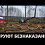 Ущерб 1 млн., а штраф 35 тыс. Замминистр ушёл от отвественности!