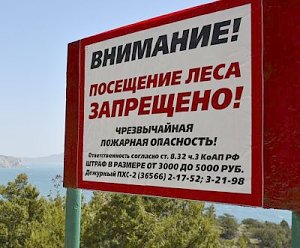 На долгие майские праздники в крымских лесах отдохнуть не получится