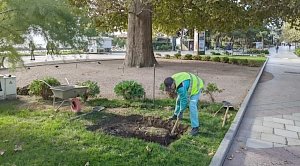 Власти Ялты поручили очистить территорию города от остатков рекламных конструкций