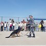 В Севастополе полицейские продолжают знакомить детей с деятельностью единого центра кавалерии и кинологии УМВД