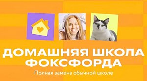 Дистанционное обучение как альтернатива традиционной школе